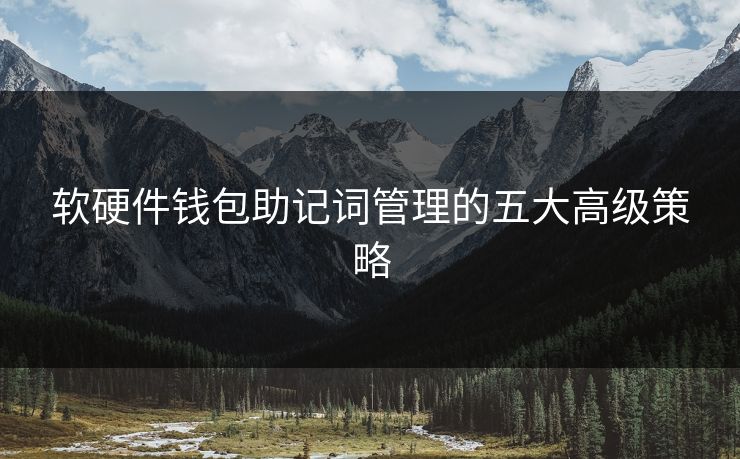 软硬件钱包助记词管理的五大高级策略