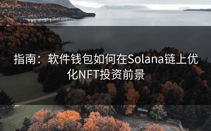 指南：软件钱包如何在Solana链上优化NFT投资前景