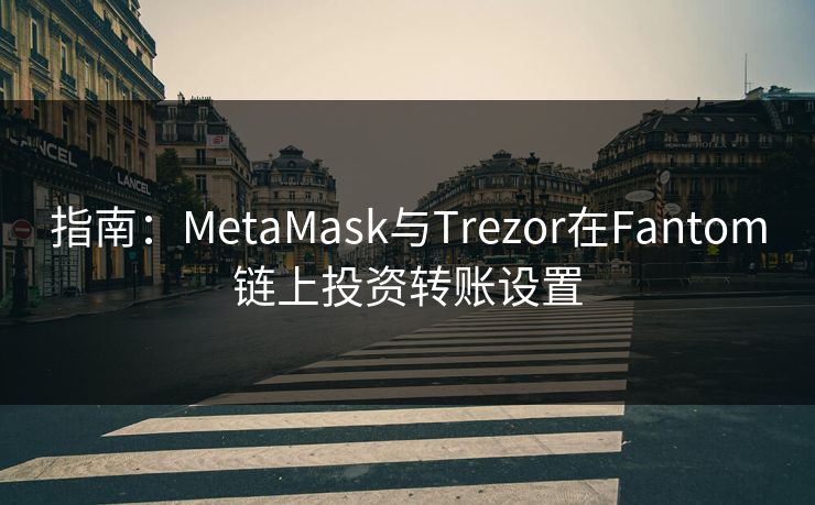 指南：MetaMask与Trezor在Fantom链上投资转账设置
